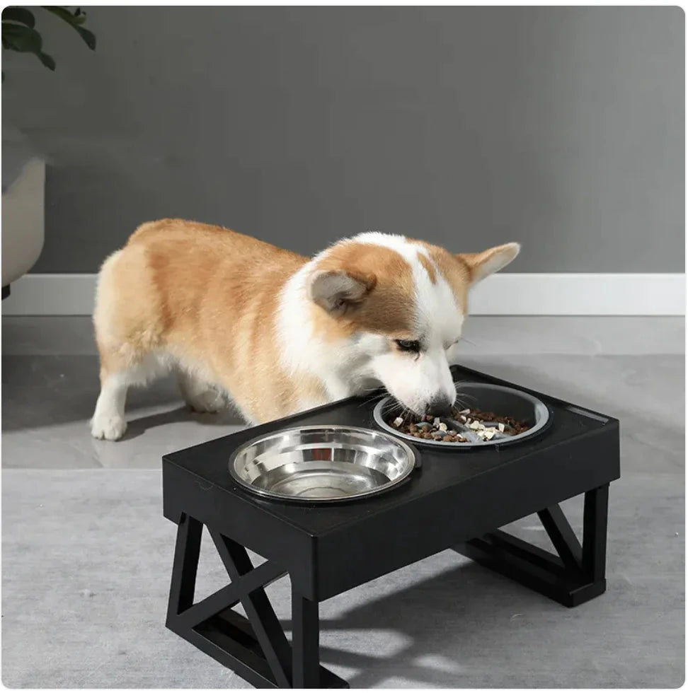 Elevated Slow-Feed Dog Bowl Trendverse Market