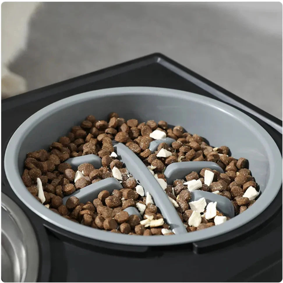 Elevated Slow-Feed Dog Bowl Trendverse Market